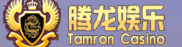 腾龙公司登录官网网站